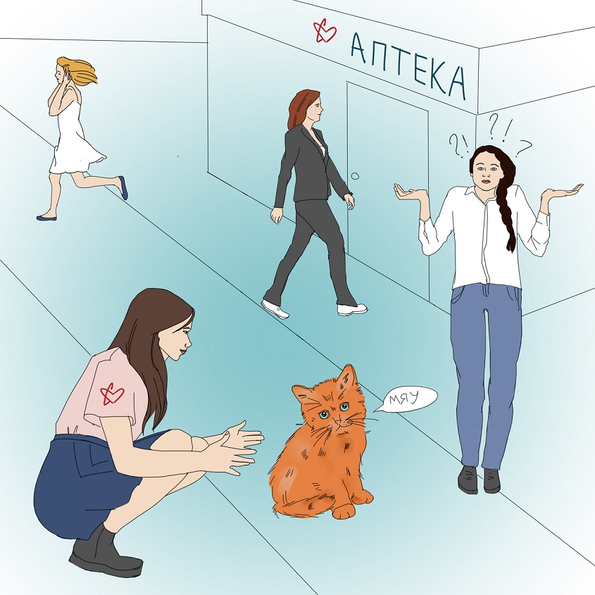 Разная реакция девушек на кота
